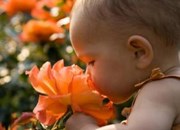 سیستم بویایی مغز سریعتر از بینی عمل می کند.